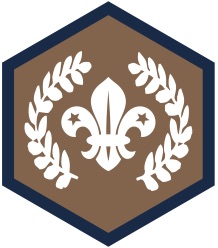 Chief Scout Awards